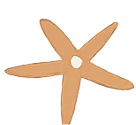 starfish